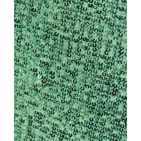 Pantalon à sequins vert Clips