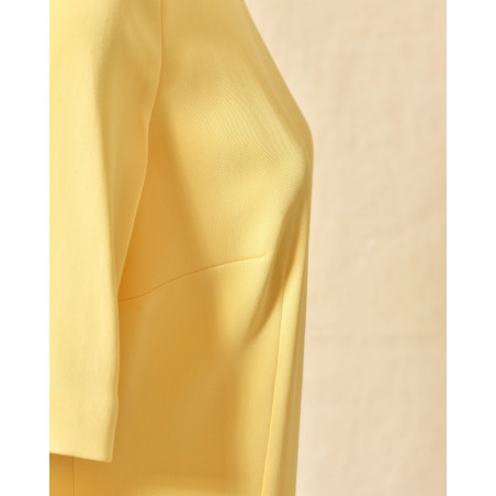 Robe ajustée jaune pâle à col bateau Clips